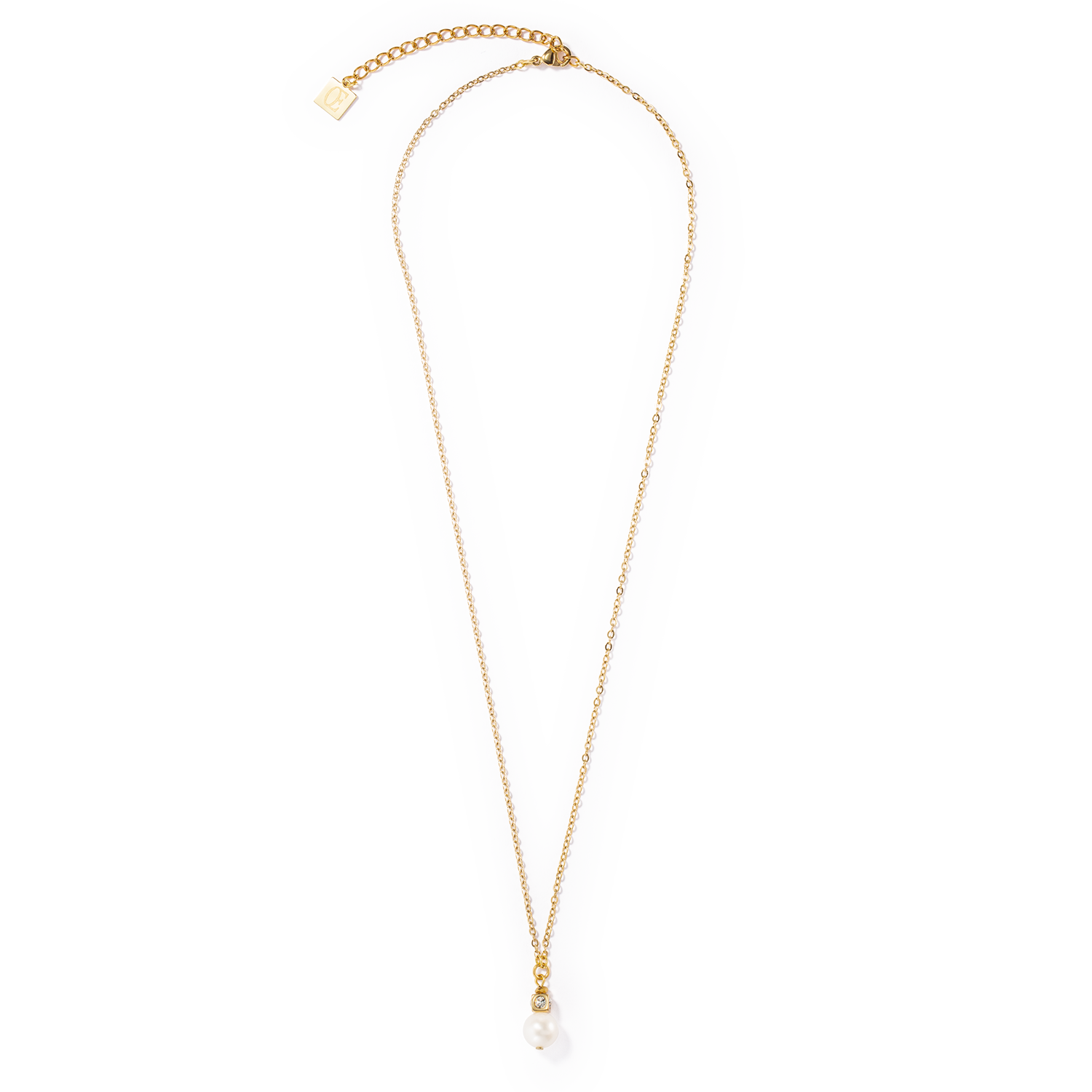 Agrandir