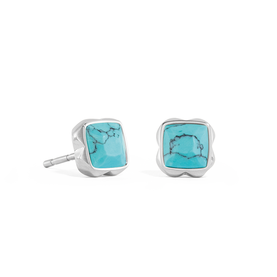 Birthstone Décembre Boucles d'oreille Turquoise Argent