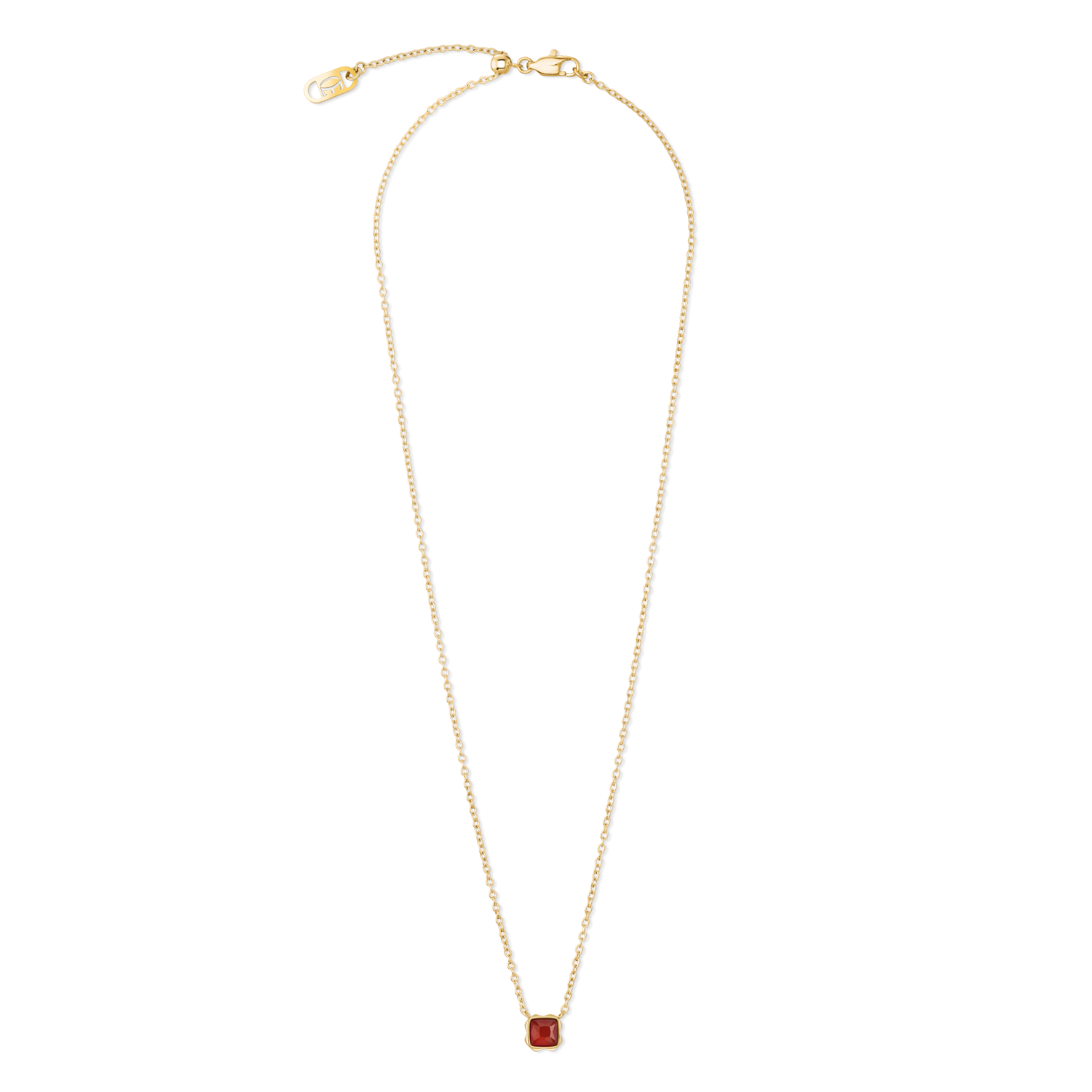 Birthstone Janvier Collier Agate Rouge Or
