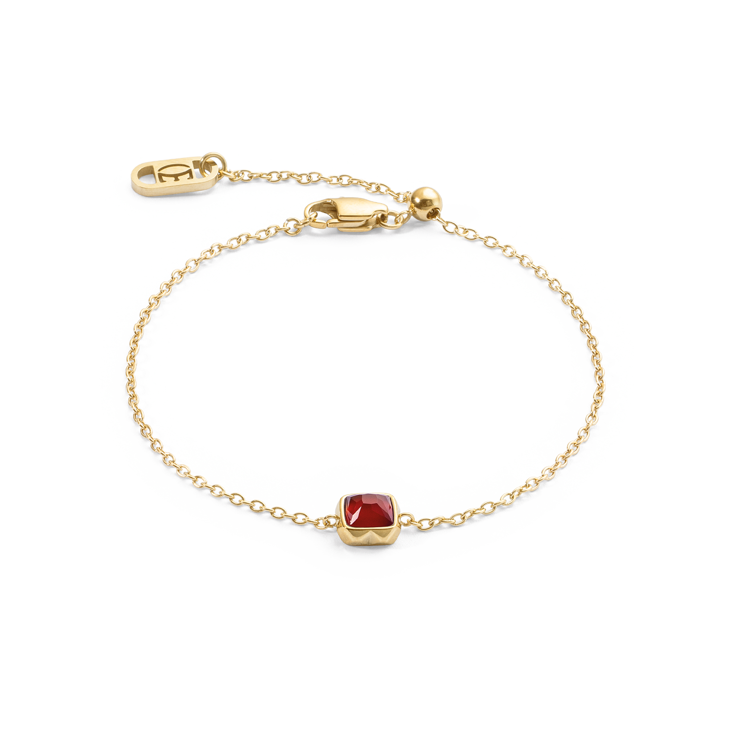 Birthstone Janvier Bracelet Agate Rouge Or