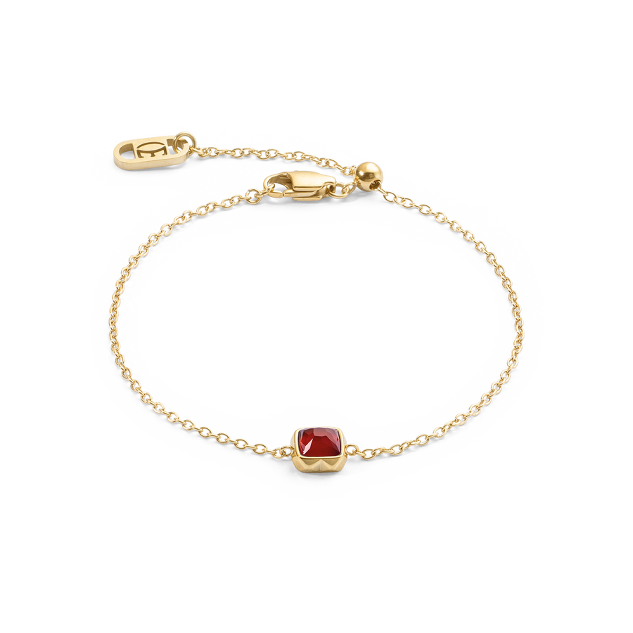 Birthstone Janvier Bracelet Agate Rouge Or
