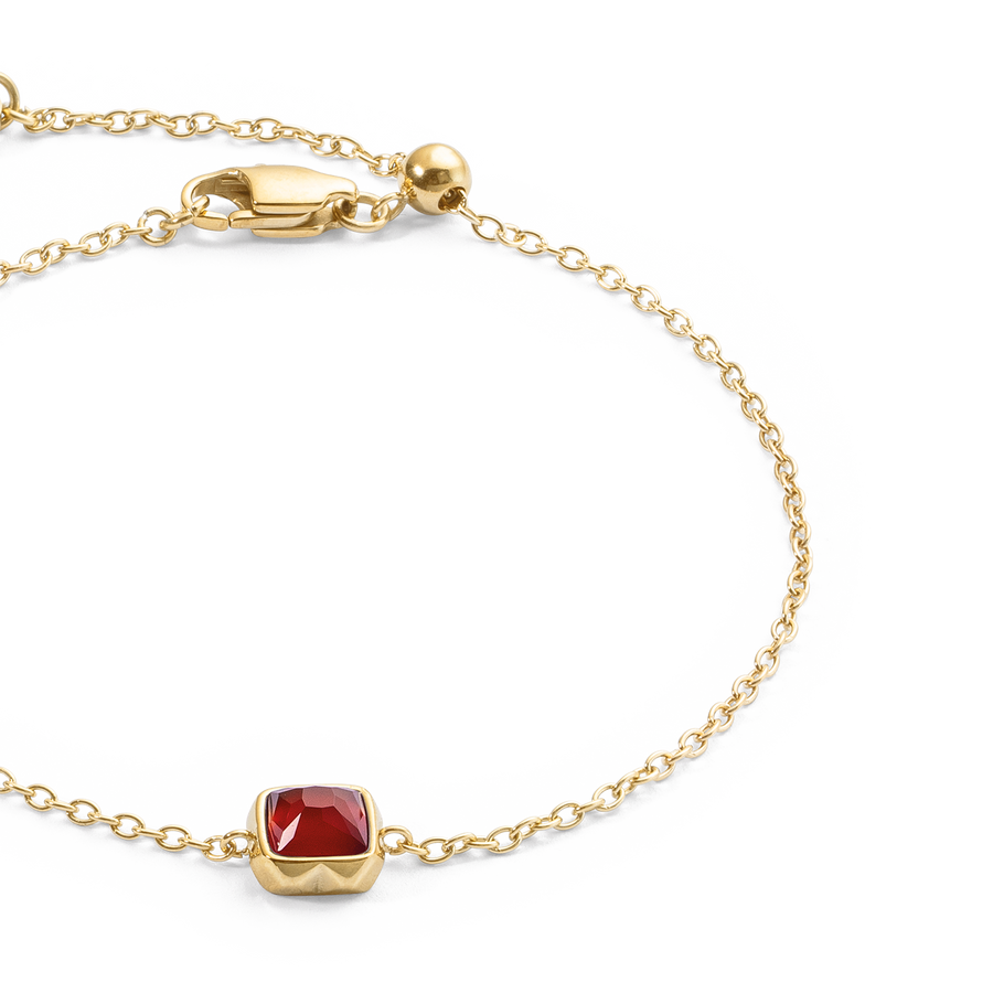 Birthstone Janvier Bracelet Agate Rouge Or