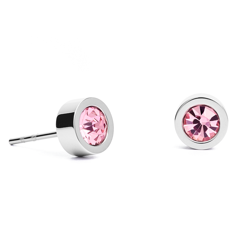 Boucles d'oreille Cristaux & acier argent rosé